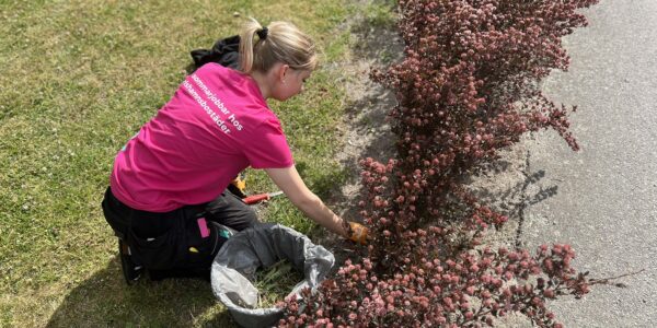Det saknas en beskrivning av den här bilden, berätta gärna det för oss genom att skicka ett mail med länken till den här sidan till info@karlshamnsbostader.se