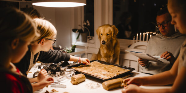 Det saknas en beskrivning av den här bilden, berätta gärna det för oss genom att skicka ett mail med länken till den här sidan till info@karlshamnsbostader.se